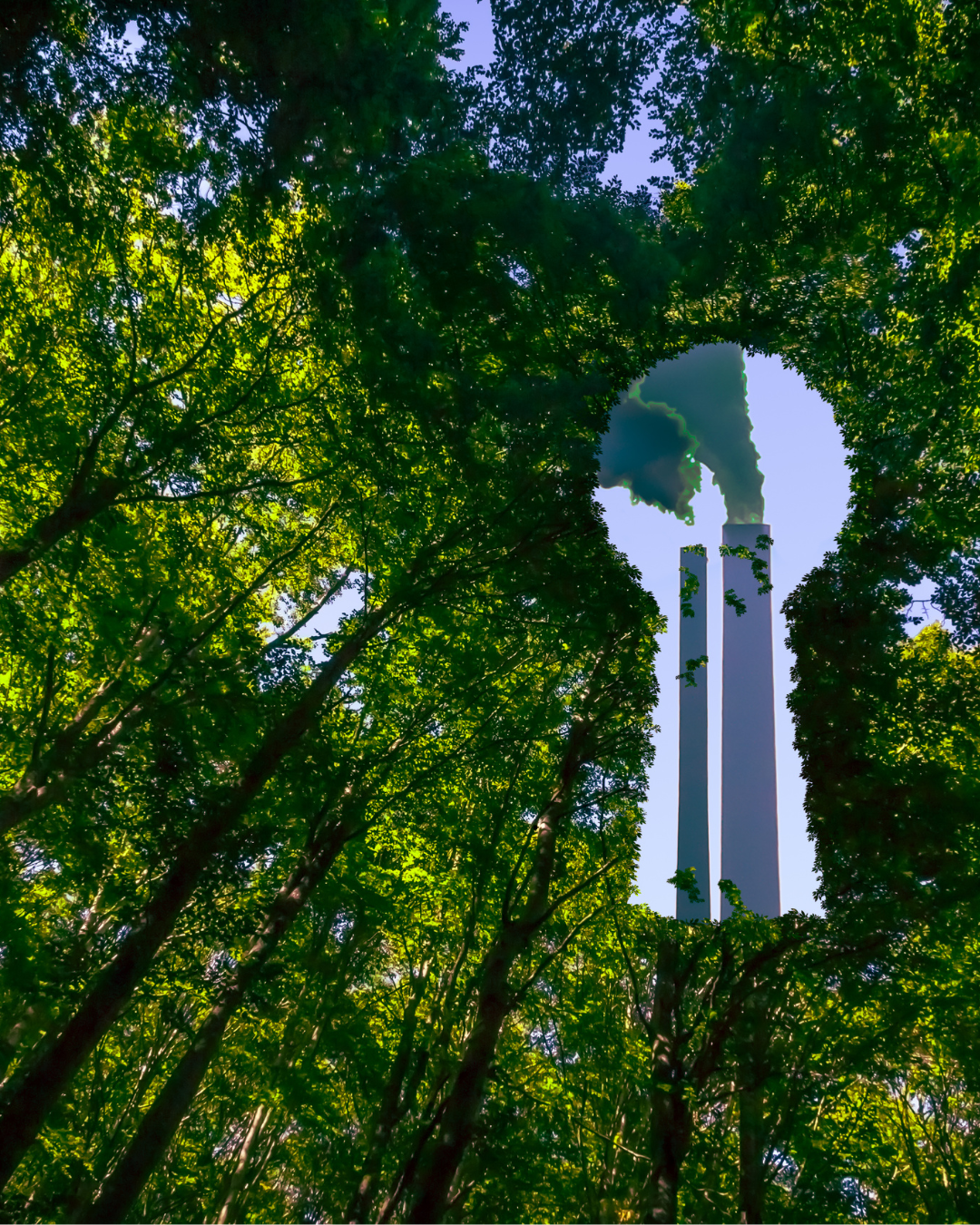Greenwashing v kozmetike: čo to je a ako ho rozpoznať